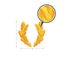 Scrambled Eggs Military Patch. Item