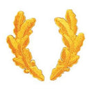Scrambled Eggs Military Patch. Item