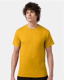 Champion T-Shirt T425 - Gold