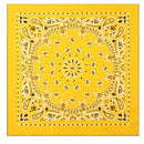 Rothco Trainmen Paisley Bandana – Extra-Large - 27” X 27". Item