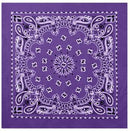 Rothco Trainmen Paisley Bandana – Extra-Large - 27” X 27". Item