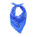 Rothco Trainmen Paisley Bandana - 22" X 22". Item