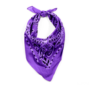 Rothco Trainmen Paisley Bandana - 22" X 22". Item