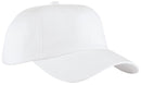 Port Authority ®  Brushed Twill Cap.  BTU